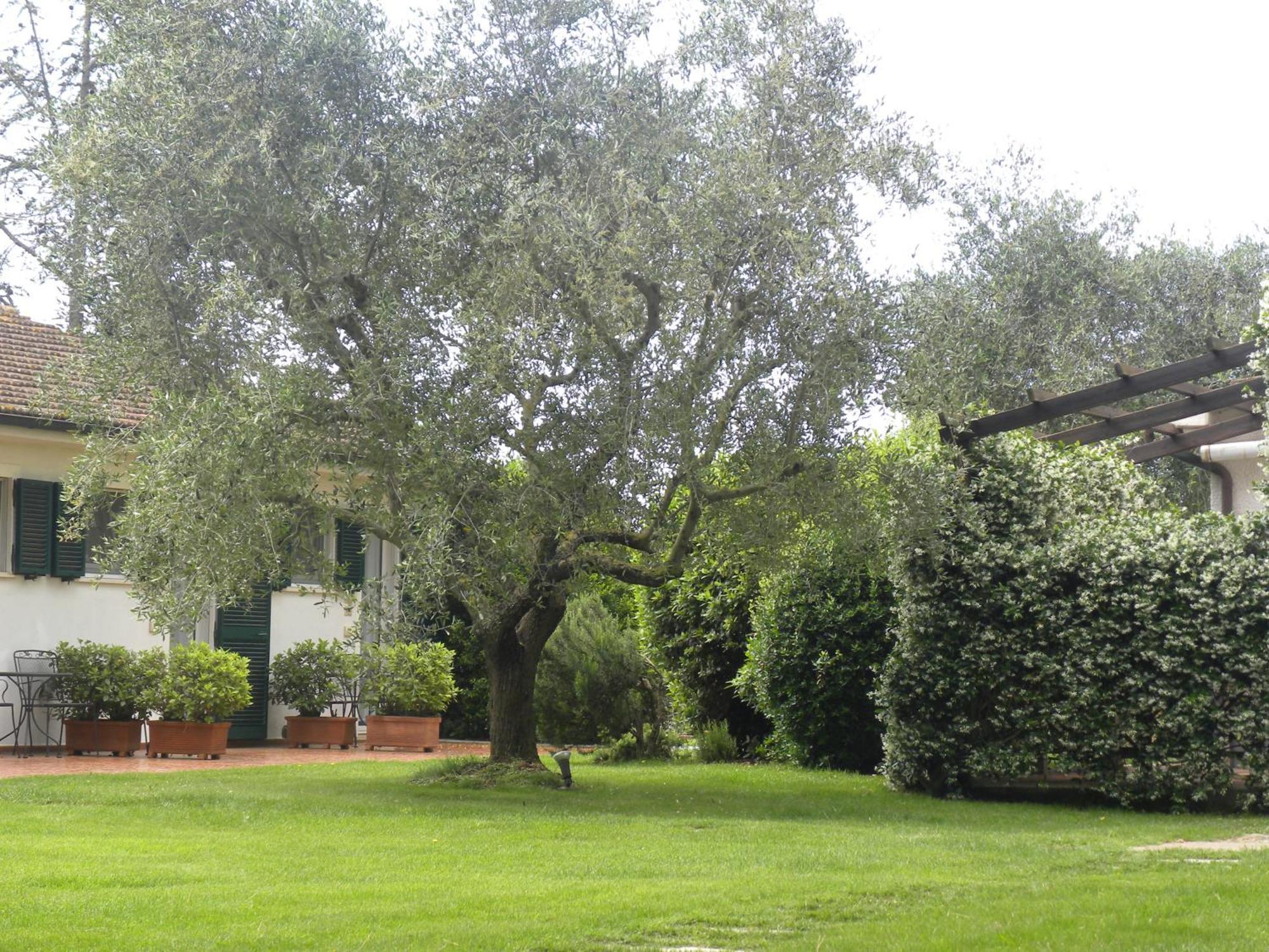 Ghiaccio Bosco Pension Capalbio Buitenkant foto