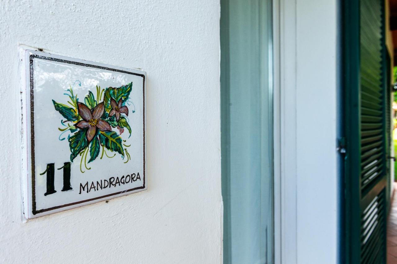 Ghiaccio Bosco Pension Capalbio Buitenkant foto